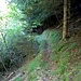 Stille Pfade