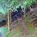 Stille Pfade