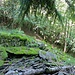 Stille Ruinen