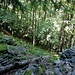 Stille Ruinen