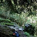 Stille Ruinen