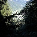 Stille Berge