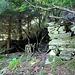 Stille Ruinen