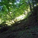 Wege ins Licht
