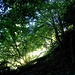 Wege ins Licht