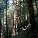 Stille Pfade