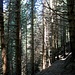Stille Pfade