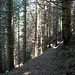 Stille Pfade