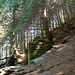 Stille Ruinen