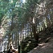 Stille Ruinen