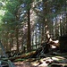 Stille Ruinen