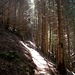 Stille Pfade