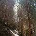 Stille Pfade