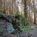 Stille Ruinen