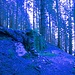 Stille Ruinen
