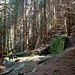 Stille Ruinen