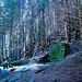 Stille Ruinen