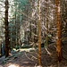 Stille Ruinen