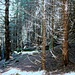 Stille Ruinen