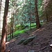 Stille Ruinen