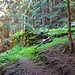 Stille Ruinen