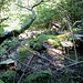 Stille Ruinen