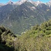 Stille Wälder