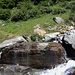 ♫♬♫ Let There Be Rock ♬♫♬
[https://www.youtube.com/watch?v=s3nEAmt5AZ8]