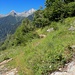 Unterwegs von Puzzei nach Calnisc de Dent