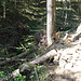 immer noch auf dem Felsenweg, es wird wilder