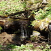 natürliche Wasserleitung