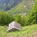 ♫♬♫ Kei Gäld ♬♫♬<br />[https://www.youtube.com/watch?v=97QF1H_zKb4]