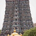 In einigen am Tempel angrenzenden Häusern kann man auf Dächer steigen und den Tempel von oben einsehen. Hier der Blick auf den südlichen Gopuram.
