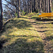 Im Aufstieg zum Walten.