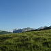 Auf der weiten Weideterrasse der Alp Sigel