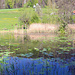 Beim Weiher cirka 100 Meter unterhalb des Heidenlochs.