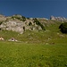 Alp Obetweid 1278m