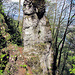 Beim "Kleinen Matterhorn".