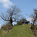 Berghütte am Streitberg