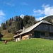 schöner Anblick - auf der Alp bei Under Lammberg ...