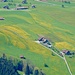Tiefblick auf die Frühlingswiesen von Buochs.