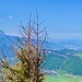 Panorama mit Stanserhorn und Pilatus.