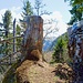 Wegpassage im Aufstieg zum Buochserhorn.