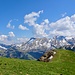 Blick vom Buochserhorn aus.