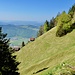 Im Abstieg von Arhölzli Richtung Buochs.
