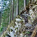 Wegpassage im Aufstieg zum Gitzitritt.