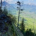 Wegpassage im Aufstieg zum Gitzitritt.