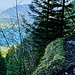 Wegpassage im Aufstieg zum Gitzitritt.
