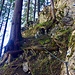 Wegpassage im Aufstieg zum Gitzitritt.