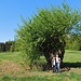 Zwischen Waldparkplatz Eschenau und Kriegshölzle